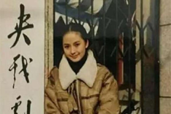 刘丹命理解析：解读命运与人生的深层联系