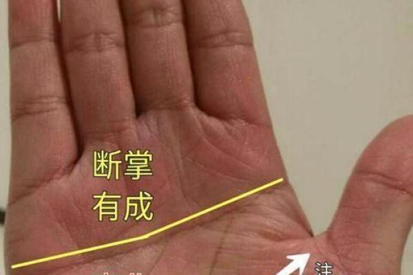 探索易奇手相：掌纹中的人生密码