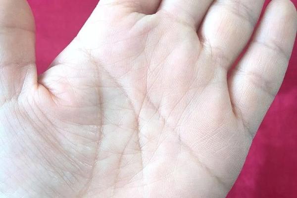 探索易奇手相：掌纹中的人生密码