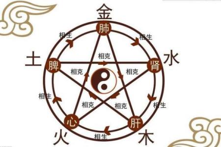 儒字五行属性解析及其文化意义