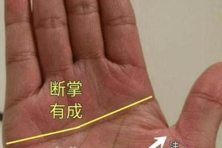 探索易奇手相：掌纹中的人生密码