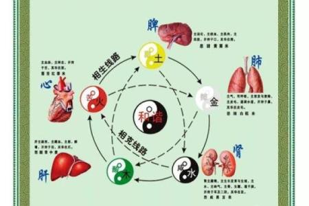五行元素与音乐疗愈的深度结合分析