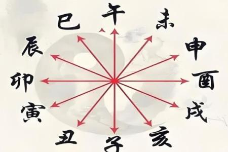 八字有根的含义与命运分析