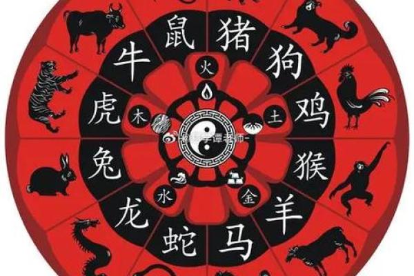 牛与蛇婚姻中的相处之道与注意事项