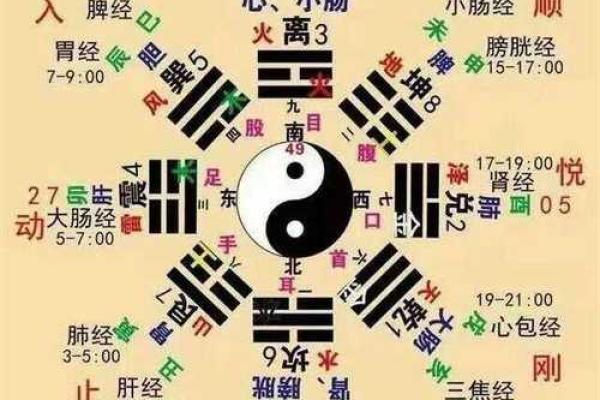 流年面相解读：如何通过面部特征预测未来运势