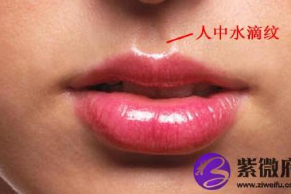 狐狸面相分析：如何看出一个人是否机智灵活