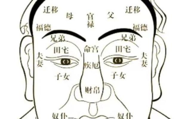 痣相眉与命运的关系：面相中的神秘标志分析