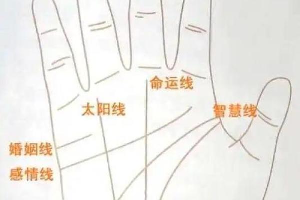 手相中的岛纹解析及其象征意义