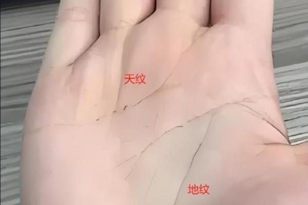 揭秘胃癌的手相特征：通过掌纹分析健康隐患