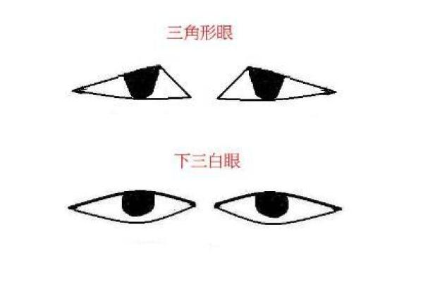 面相学中的刻薄之人：常见表现与解读