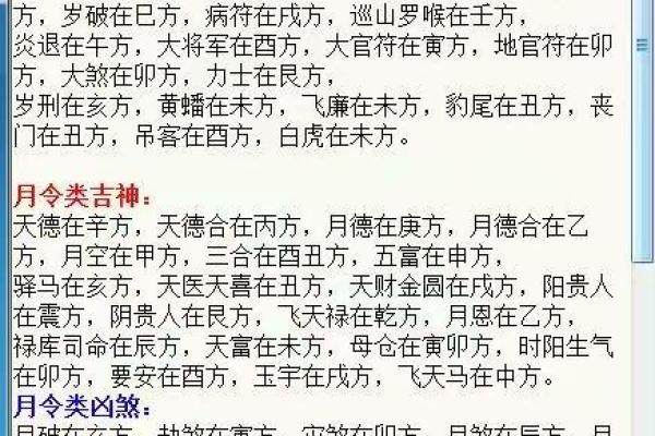 玄空排盘软件应用技巧与实践经验分享