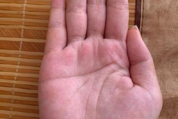 揭秘鹿晗手相中的命运密码