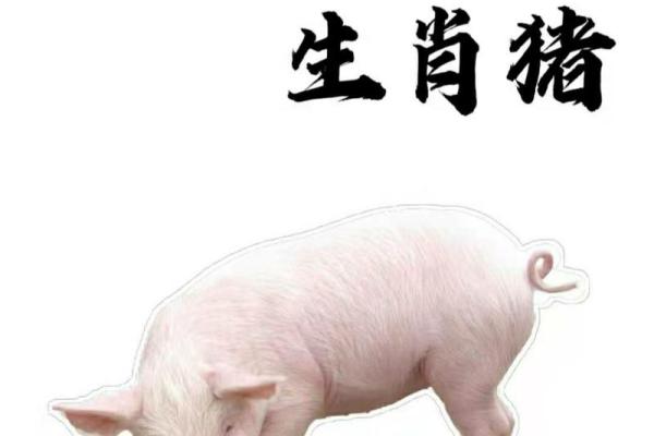 生肖配对：男虎与女猪的婚姻是否会幸福美满