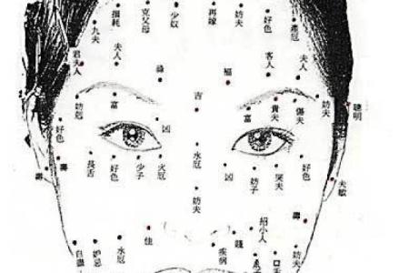 狐狸面相分析：如何看出一个人是否机智灵活