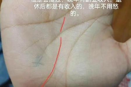 揭示手相学中的常见误区与真实秘密