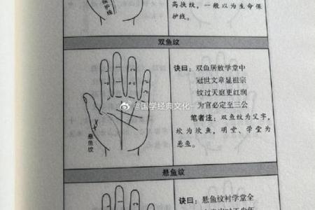 手相中的岛纹解析及其象征意义