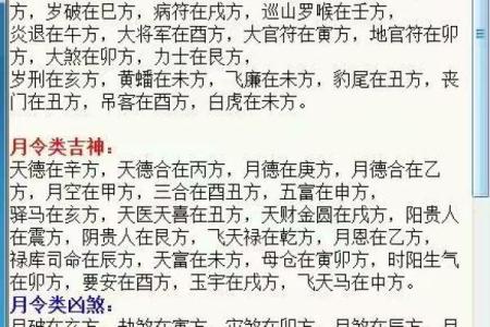 玄空排盘软件应用技巧与实践经验分享