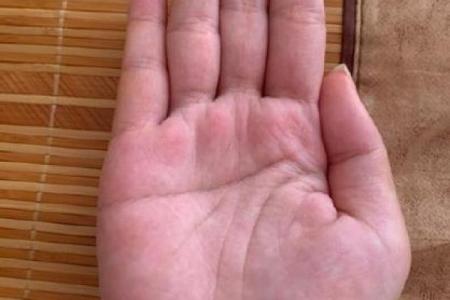 揭秘鹿晗手相中的命运密码