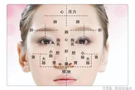 额头高的面相特点与性格分析