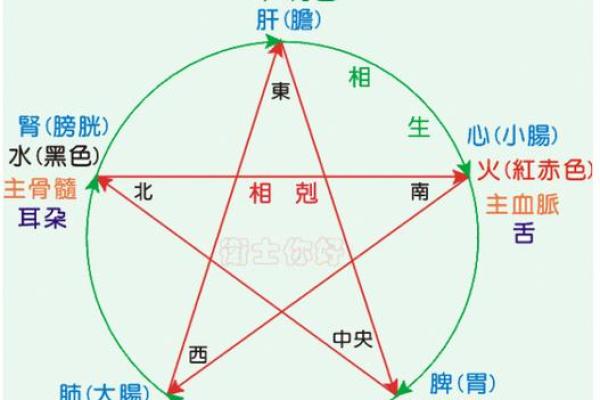 如何理解海中金与炉中火的五行关系