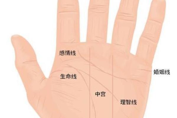 手相纹路深的含义与解读：揭示你命运的秘密