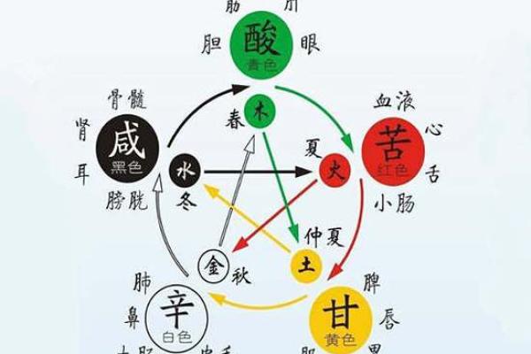 五行金多的象征意义与影响解析