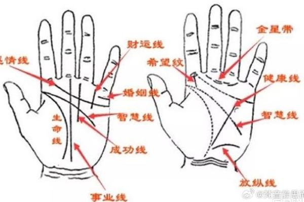 如何通过干手掌图分析性格与命运