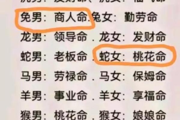 蛇女虎男婚姻是否和谐？性格匹配与生活智慧