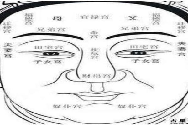 额头短面相的命运解析与性格解读