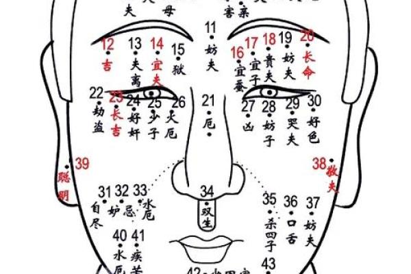 痣相到底准不准？探讨其背后的科学与信仰