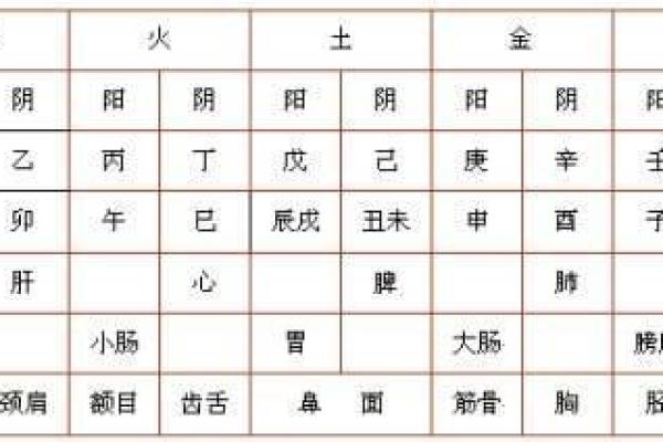 意五行属性解析与深度剖析