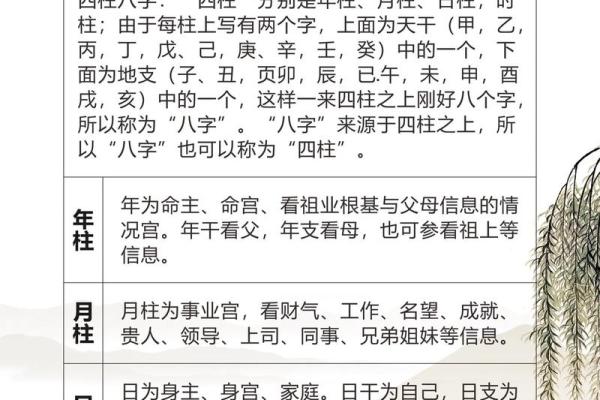 八字命理入门：探索四柱八字的奥秘与应用