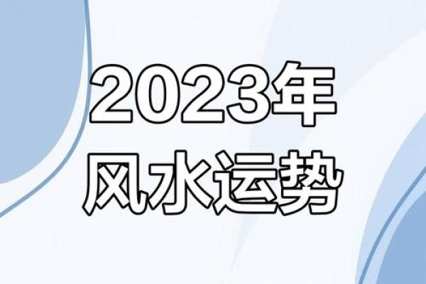 兔年财运如何提升 这些方法不可不知