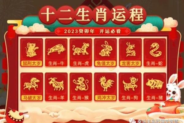 兔年健康运势解析 如何保持身体最佳状态