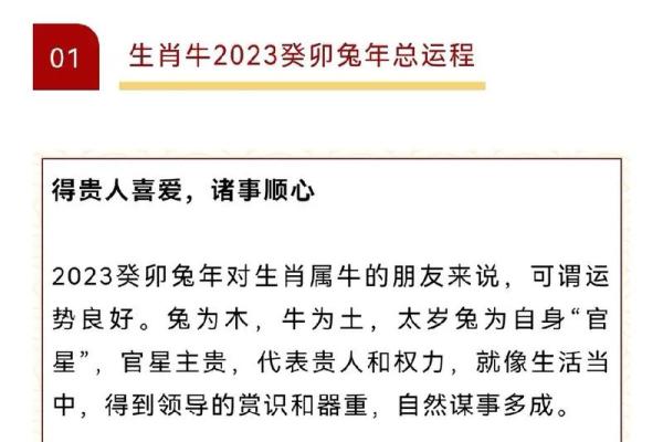 兔年健康运势解析 如何保持身体最佳状态