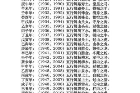 肖字的五行属性解析及其与命理的关系