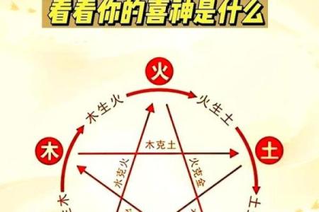 五行运势解析与年度运程变化