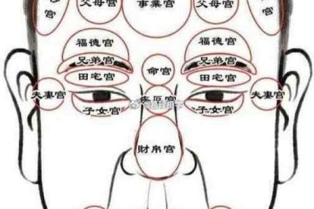 嘴巴周围的痣相：不同位置的痣有何不同意义