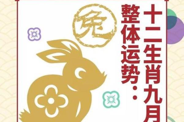 属兔人的性格与运势解读