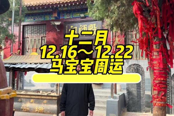 今日属马人运势解析：爱情、事业双重考验