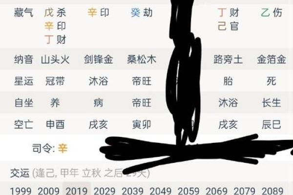 天干地支解析与运势探讨
