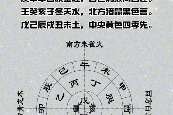 天干地支解析与运势探讨