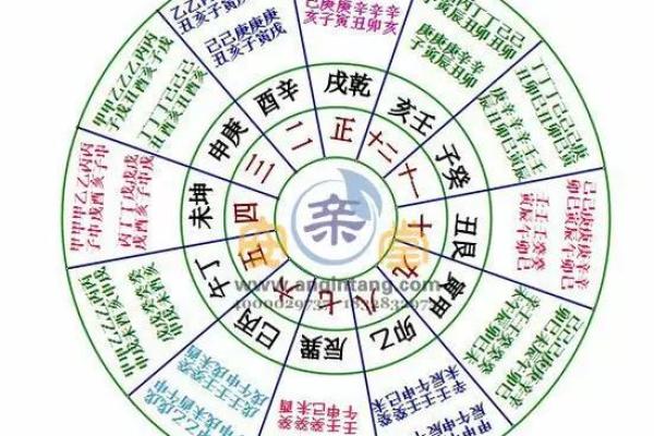土命的定义及其在五行中的独特特点分析