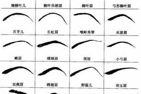 断眉面相解析：揭示命运与性格的深层联系