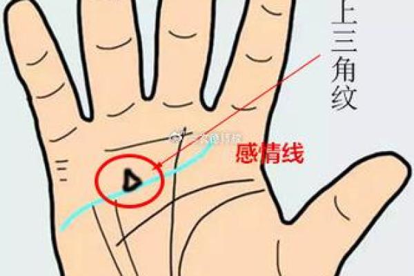 手相中的情欲线：揭示爱情与情感深层密码