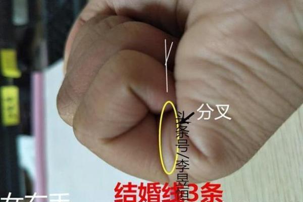 手相解析：羽毛纹的深层意义与人生启示