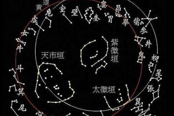 紫薇盘排与命理学：如何通过星盘调整人生方向