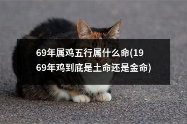 探索土金命：如何理解土与金的相生相克
