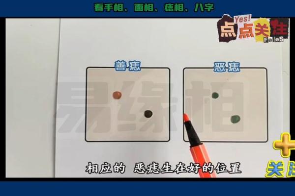 女人身体痣相解读：如何通过痣的位置与形态了解命运和性格