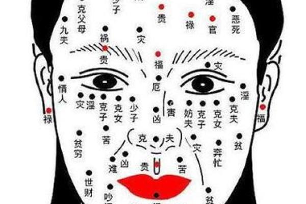 女人面相解析：揭示性格与命运的深层联系